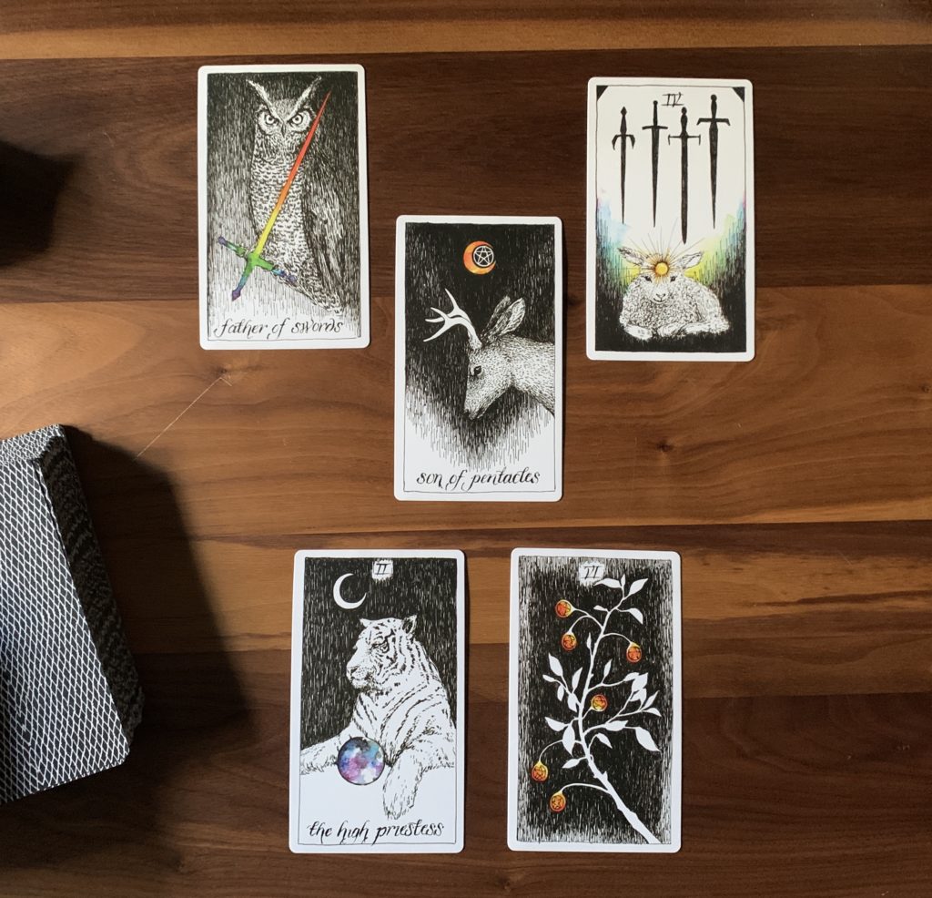 Five card spread with Kim Krans' Wild Unknown deck. Father of swords on the top left, Four of swords on the top right, Son of pentacles in the middle, High Priestess on the lower left, and the Six of pentacles on the lower right. 